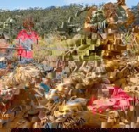 Mini Muddies Obstacle Challenge at Bunnamagoo Estate - Accommodation Brisbane