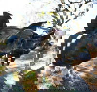 Mudgee Farm Walks - Accommodation Brisbane