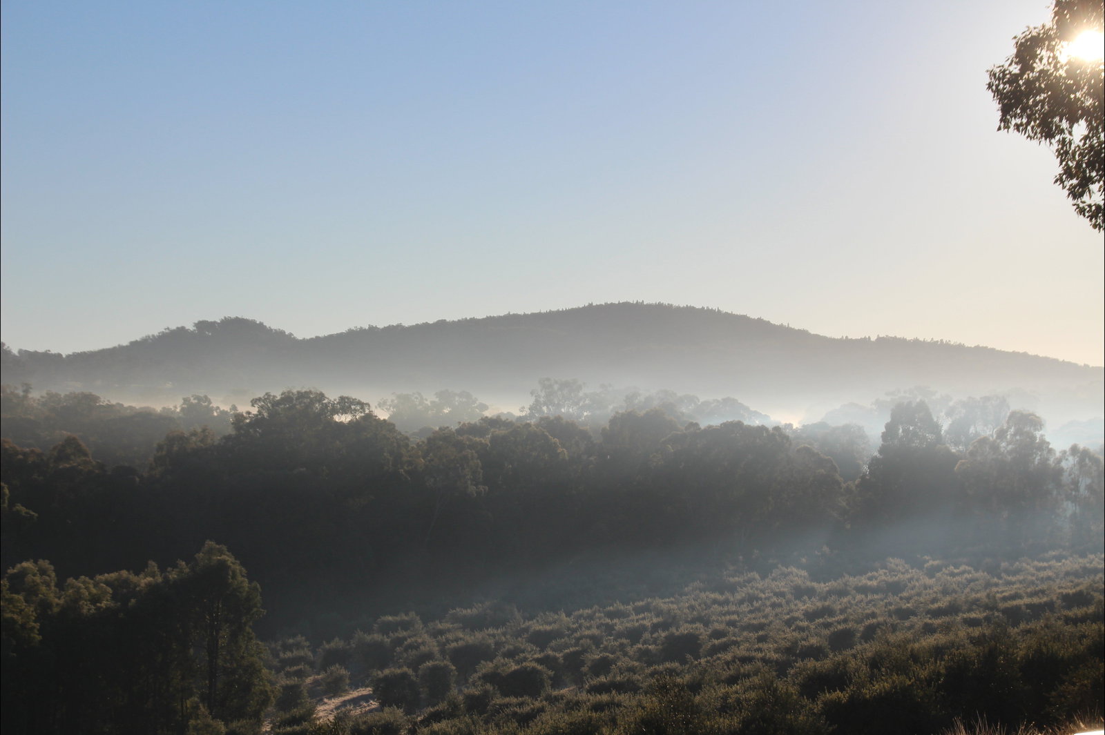 Spring Flat NSW Accommodation Brisbane