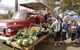 Murphys Creek Markets - thumb 0