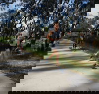 Ned Kelly Chase - Accommodation Brisbane