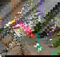 Neville Show - Accommodation Brisbane