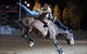 North Queensland Elite Rodeo - thumb 1