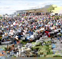 Riverfest Food Wine and Music Festival - Accommodation Brisbane