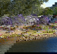 Shoalhaven River Festival - Accommodation Brisbane