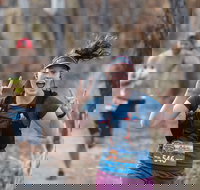 Summit Shoalhaven - Accommodation Brisbane