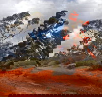 Sunraysia Safari Rally - Accommodation Brisbane