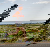 SunSmart Busselton Festival of Triathlon - Accommodation Brisbane