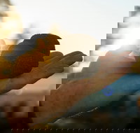 The Truffle Festival - Canberra Region - Accommodation Brisbane