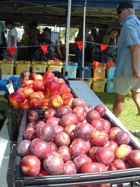 The Farmers Market On Manning - Accommodation Brisbane 0