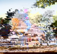 Theodore Bulls 'n' Barrels Bonanza - Accommodation Brisbane