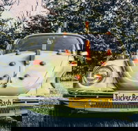 Tucker Box Bash - Accommodation Brisbane