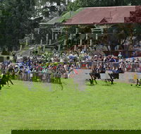 Tumut Boxing Day Races - Accommodation Brisbane
