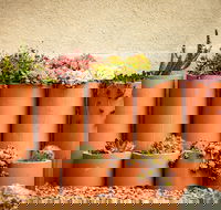 Tumbarumba Spring Flower Festival - Accommodation Brisbane