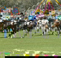 Wangaratta Show - Accommodation Brisbane