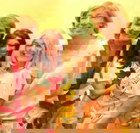 ABBA Gold Tribute Show - Accommodation Brisbane