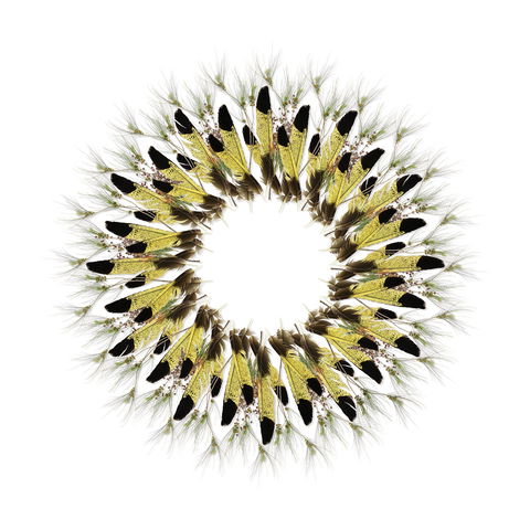 Adelaide Parklands Art Prize  Finalists Exhibition & Sale 2020 - Accommodation Brisbane 1
