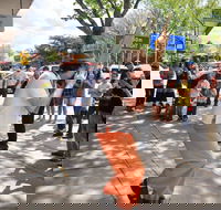 Australian National Busking Championships - Accommodation Brisbane