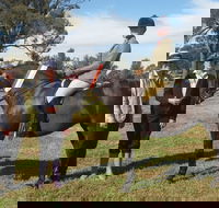 Birbbaree Show - Accommodation Brisbane