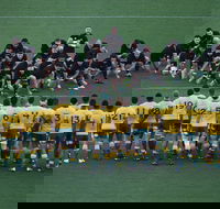 Bledisloe Cup Double-Header Qantas Wallabies v All Blacks  Buildcorp Wallaroos v Black Ferns - Accommodation Brisbane