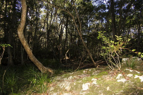 Bottlebutt Bash Trail Run - Accommodation Brisbane 1