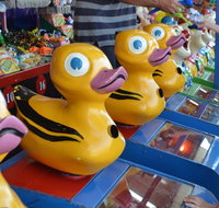 Casino Agricultural Show - Accommodation Brisbane