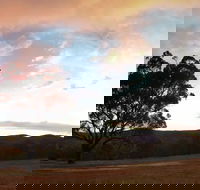 Christmas in July Jumpers and Jazz - Accommodation Brisbane