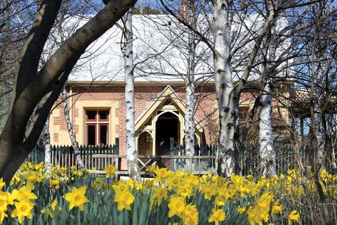 Daffodils At Rydal - Accommodation Brisbane 0