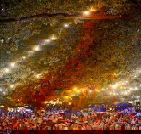 Festivale - Accommodation Brisbane