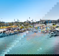Fred Williams Aquatic Festival - Accommodation Brisbane