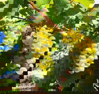 GetawaysSA Bringing Barossa To Your Door - Accommodation Brisbane