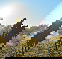 Gunnedah Showjumping Festival - Accommodation Brisbane