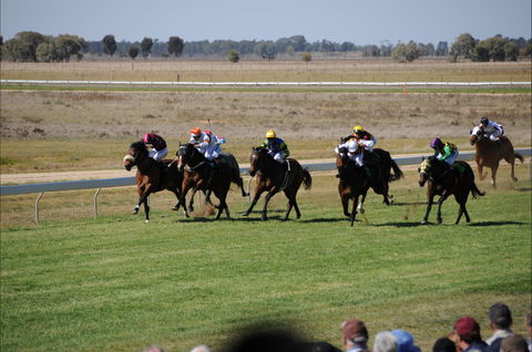 Jerilderie Gold Cup Races - Accommodation Brisbane 0
