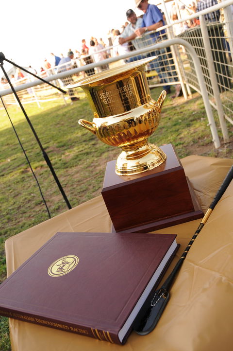 Jerilderie Gold Cup Races - Accommodation Brisbane 1