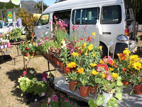 Johns River Country Markets - Accommodation Brisbane 0