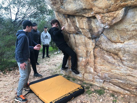 July 2020 Holidays- Forest Adventures Treasure Hunt - Accommodation Brisbane 1