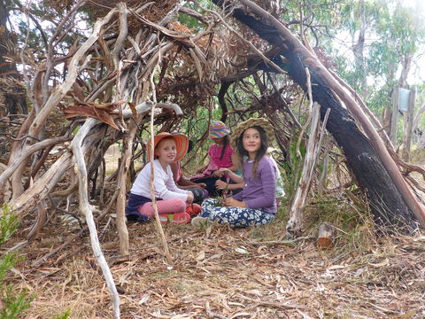 July 2020 Holidays- Forest Adventures Treasure Hunt - Accommodation Brisbane 2