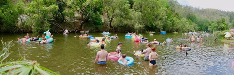 Jungle Love Festival - Accommodation Brisbane 1