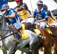 Land Rover Polo in the City Brisbane - Accommodation Brisbane