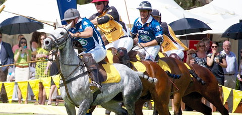 Land Rover Polo In The City Brisbane - Accommodation Brisbane 0