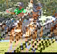 Land Rover Polo in the City - Accommodation Brisbane