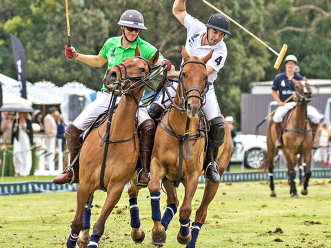 Land Rover Polo In The City - Accommodation Brisbane 0