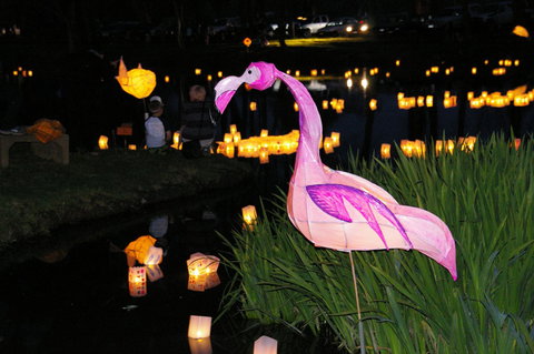Lanterns On The Lagoon - Accommodation Brisbane 1
