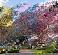 Leura Gardens Festival - Cancelled - Accommodation Brisbane