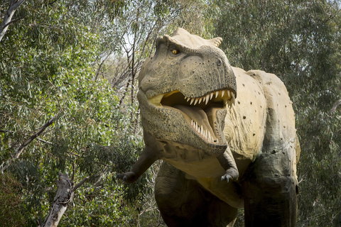 Lost Sanctuary At Healesville Sanctuary - Accommodation Brisbane 2