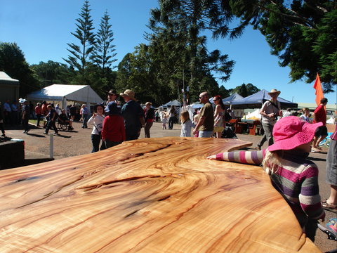 Maleny Wood Expo: From Seed To Fine Furniture - Accommodation Brisbane 0