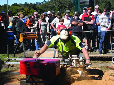 Maleny Wood Expo: From Seed To Fine Furniture - Accommodation Brisbane 2