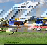 Moree Race Club TAB Race Day - Accommodation Brisbane