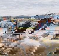 Mudgee Small Farm Field Days - Accommodation Brisbane