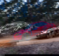 Narooma Forest Rally - Accommodation Brisbane